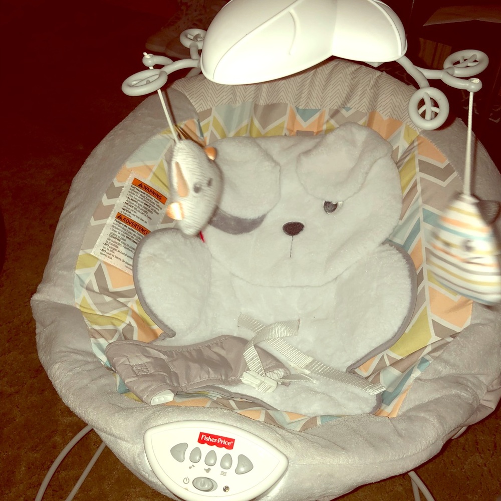 Fisher Price Bouncy chair